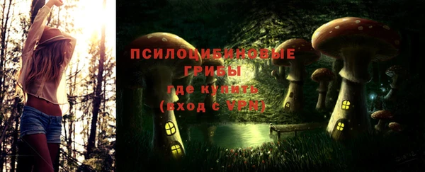 mdpv Армянск