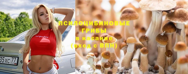 стаф Кукмор